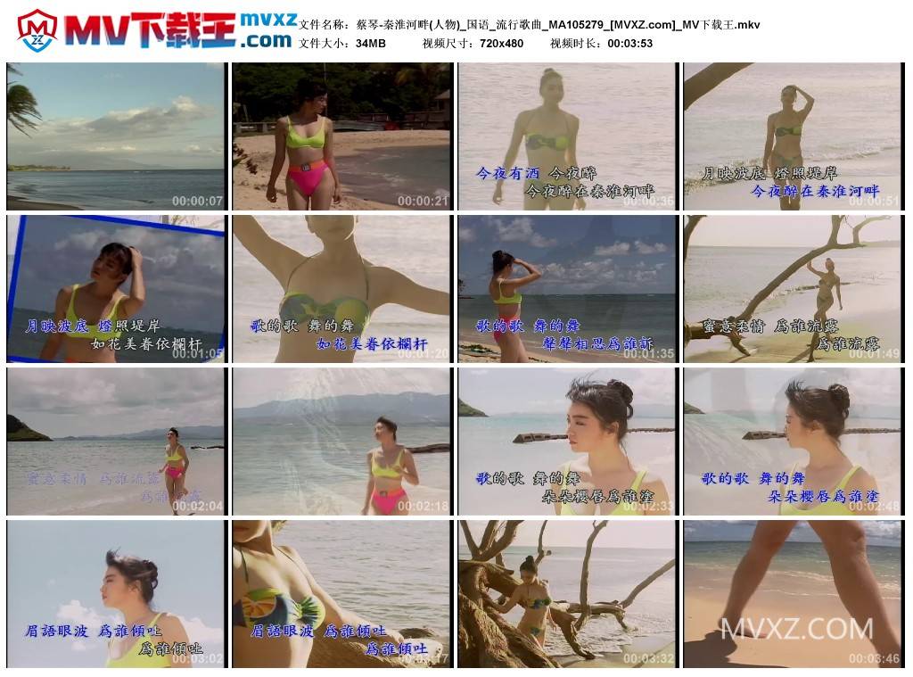 蔡琴-秦淮河畔(人物)_国语_流行歌曲_MA105279